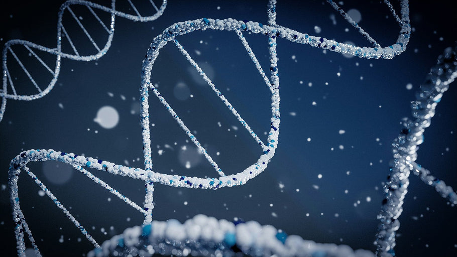 Epigenetics and Aging: How to Influence Your Genes for a Longer, Healthier Life