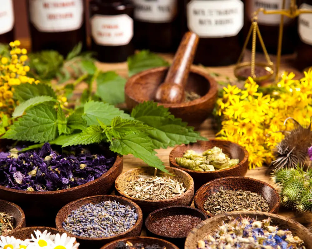 Herbal AIM Center for Personalized Medicine