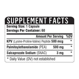 KPV + PEA 500 Healthgevity