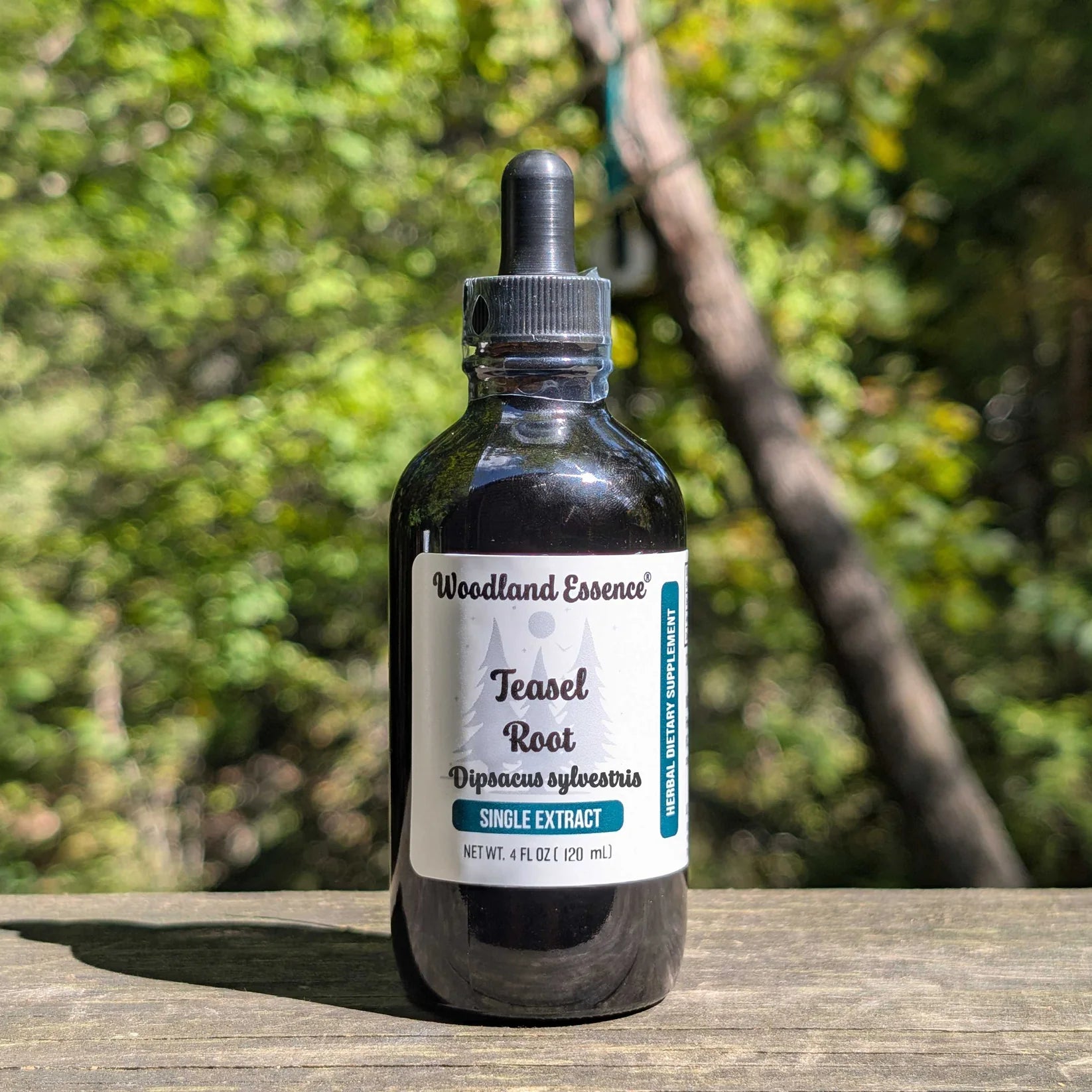 Teasal Root (2 fl. oz.) Woodland Essence