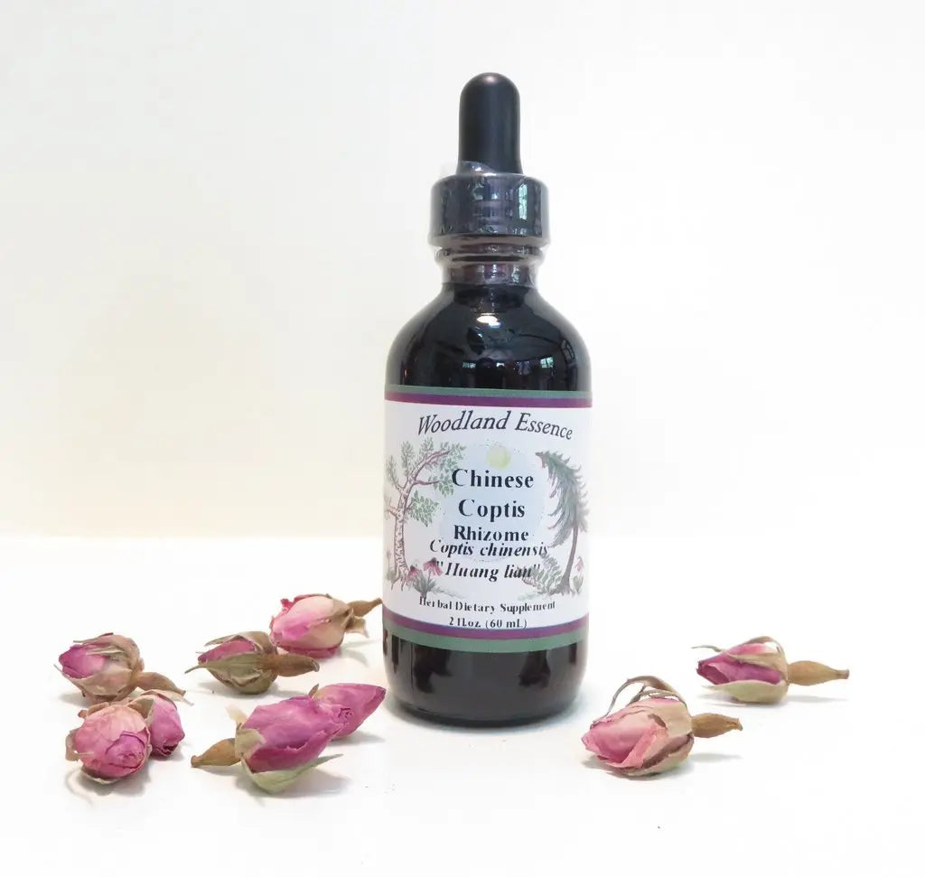 Coptis Chinese Rhizome (4 fl oz.) Woodland Essence