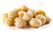 Load image into Gallery viewer, Extra-Large Macadamias Sprouted, Organic 7 OZ